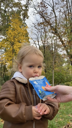Упаковка Фруктово-овочевого пюре Gerber з Яблук Моркви та Гарбуза для дітей із 6 місяців 150 г х 12 шт (8445290223340) фото від покупців 1