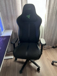 Крісло для геймерів Razer Enki Green (RZ38-03720100-R3G1) фото від покупців 13