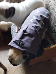 Куртка для собак DogClub Sunny XL Plum фото от покупателей 2