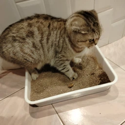 Гігієнічний наповнювач для котячих туалетів CAT'S PREMIUM 6л (6 кг) (4820273540012)