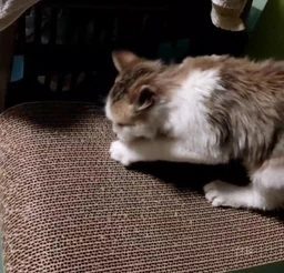 Когтеточка-лежанка для кошек Say Meow Cloud гофрокартон, 61х21х24 см (8040190102001)