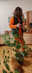 Жіночий спортивний костюм ONIOS Loungewear Tracksuit без капюшону Помаранчевий L 2373