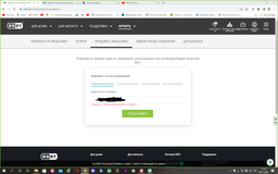 Антивирус ESET Internet Security (2 ПК) лицензия на 12 месяцев (электронный ключ в конверте) фото от покупателей 1