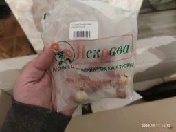 Саженцы Яскрава Нектарин колоновидный Ребус (49374) (крупноплодный сорт среднего созревания) фото от покупателей 3