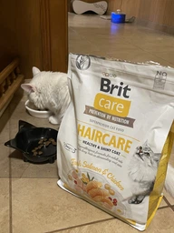 Сухой корм Brit Care Cat GF Haircare Healthy & Shiny Coat для кожи и шерсти кошек - 7 кг фото от покупателей 8
