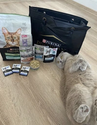Сухой корм для стерилизованных кошек Purina Pro Plan Sterilised Senior 7+ с индейкой 10 кг фото от покупателей 6