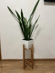 Підставка під вазон з натурального дерева білого кольору WoodDecor середня фото від покупців 3