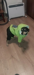 Зимний комбинезон для собак Dog S Оранжевый фото от покупателей 4