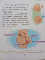Малечі про інтимні речі - Ярмоленко Ю.Л. (9789669358394) фото від покупців 4