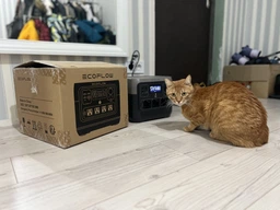 Зарядная станция EcoFlow RIVER 2 Pro / 800 Вт / 768 Вт⋅ч / LiFePO4 (4895251601559) фото от покупателей 2