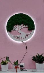 Панно,картина, дерево со стабилизированым мхом А класу MiNature Moss 50 см