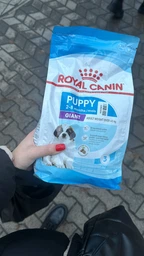 Сухой корм для щенков гигантских пород Royal Canin Giant Puppy до 8 месяцев 15 кг (3182550707046) (3030150) фото от покупателей 1