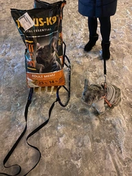 Сухий корм для собак Julius-K9 High Premium Adult Vital Essentials яловичина з рисом 12 кг фото от покупателей 4