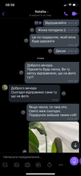 Стрелиція Миколая h 70 cм
