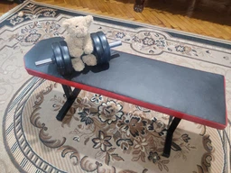 Скамья для жима Прем А596 Hardcore GYM (А596) фото от покупателей 2