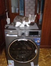 Стиральная машина Beko B3WFU5822MG фото от покупателей 7