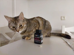 Витаминный комплекс для кошек AnimAll VetLine Cat Female Pro, 100 табл