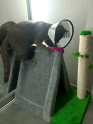 Когтеточка Lucky Pet домик сизалевый Бивак, Серый, 50х33х46см фото от покупателей 3