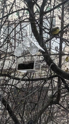 Кормушка для птиц на окно House_for_birds "Теремок" фото от покупателей 16