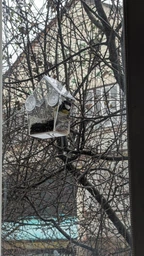 Кормушка для птиц на окно House_for_birds "Теремок" фото от покупателей 15