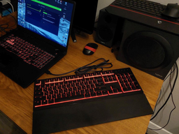 Клавіатура дротова Razer Ornata V3 X UKR USB Black (RZ03-04471900-R371) фото від покупців 13