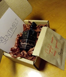 Автомобильный парфюм (ароматизатор в авто) SENTIMELT Cigarette after Sex 7 мл (SM300CAS)