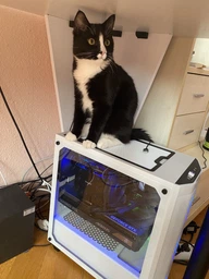 Відеокарта Gigabyte RTX 4070Ti AORUS MASTER (GV-N407TAORUS M-12GD) (GDDR6X, 192 bit, PCI-E 4.0)