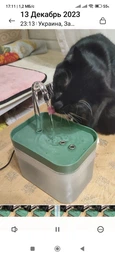 Автопоилка для кошек и собак Noxon AutoWater Clean 2в1 автоматическая поилка фонтан с фильтром и защитой от сухости + адаптер в подарок (NAW01)