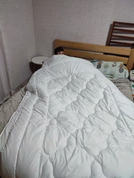 Одеяло Sei Design Soft зимнее полуторное 140x210 Антиаллергенный искусственный лебяжий пух Белое (4820182656460) фото от покупателей 1