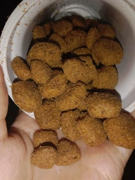 Сухий корм для дорослих собак великих порід Purina Dog Chow Adult Large Breed зі смаком індички 14 кг фото від покупців 9