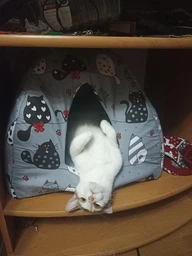 Мягкий домик для домашних животных собак и кошек с котиками 35 x 30 см Incor Серый