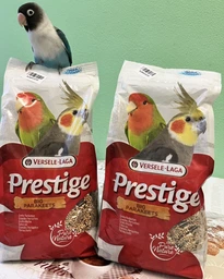 Корм для средних попугаев Versele-Laga Prestige Cockatiels зерновая смесь 1 кг (5410340218808) фото от покупателей 7