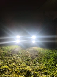 Автолампы Solar Electric LED H11 12/24В 40 Вт 5000 лм 6000K CSP1860 (8211 SE)