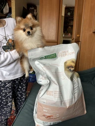 Сухий корм для цуценят малих порід Mini Junior Small Breeds 2 кг (NPS45724)