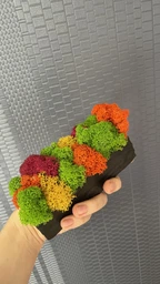Брашырованое кашпо огнем со стабилизированым мхом MiNature Moss фото от покупателей 1