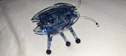 Наноробот Hexbug Beetle (477-2865_green)
