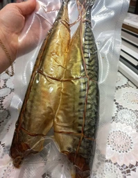 Вакууматор для продуктов сухих и влажных вакуумный упаковщик для еды бытовой домашний кухонный компактный Vacuum Sealer + 10 вакуумных пакетов в подарок фото от покупателей 15