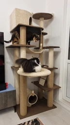 Высокий игровой кошачий комплекс когтеточка с большим домиком гамаком коту кошке 195х80х60см серый фото от покупателей 11