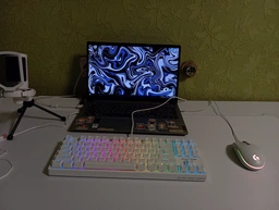 Клавиатура проводная Hator Rockfall 2 Mecha TKL Orange USB Black (HTK-520)