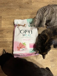 Сухой корм Optimeal для кошек со вкусом телятины 200г.(4820215360173) фото от покупателей 12