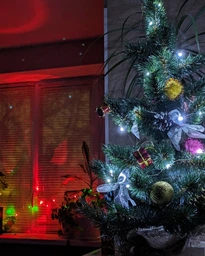 Світлодіодна гірлянда нитка LTL довжина 2м 20led на батарейках біла холодна White