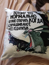 Подушка плюшева смішна з приколом з написом з принтом WONKEY " Подарок Ничего " 35 х 35 см 13012 фото від покупців 1