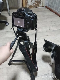 Штатив професійний 3388 для телефону, камери, лампи. Стійкий трипод з тримачем Чорний фото від покупців 1