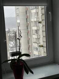 Кормушка для птиц на окно House_for_birds "Лоджия" фото от покупателей 19