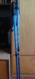 Палки для скандинавської ходьби Moltis Relax MR-135 Purple фото від покупців 3