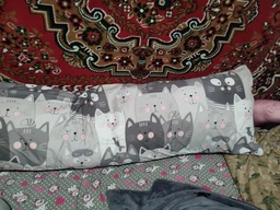 Подушка дакимакура Руно Grey Cat_1 антиаллергенное волокно 50х150 см (Р315.52_Grey Cat_1) фото от покупателей 4
