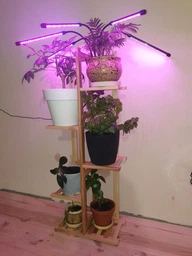 Подставка для цветов и вазонов ясень 103*40*20 cм Натуральный (П4001030200) фото от покупателей 17