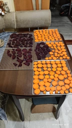 Сушилка для овощей и фруктов WetAir WFD-K700BSS с металлическими лотками фото от покупателей 1