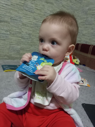 Фруктове пюре Gerber Яблуко, груша, малина, чорниця з 6 місяців 90 г (7613036345484)