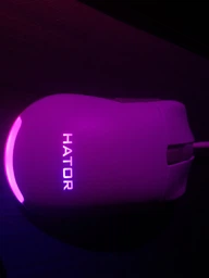 Мышь Hator Pulsar Essential USB Black (HTM-312) фото от покупателей 7